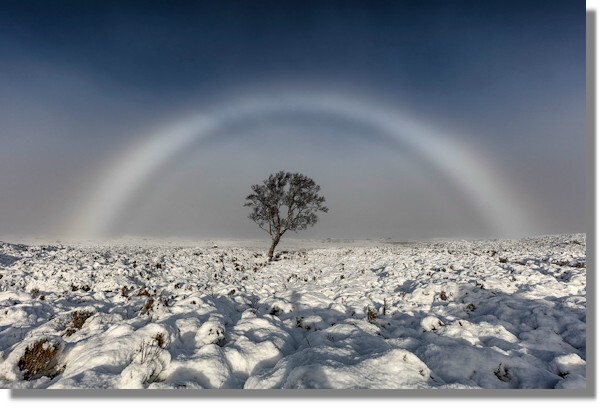 White Rainbow